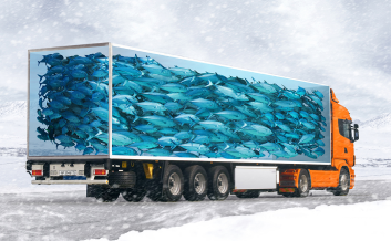 Температурные перевозки